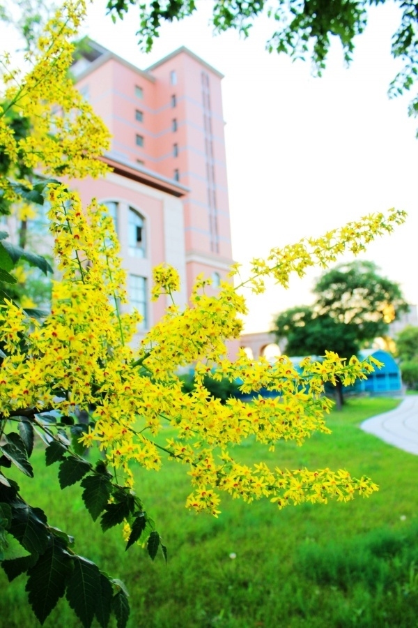渤海大学