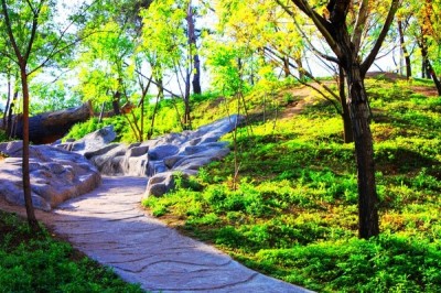 渤海大学