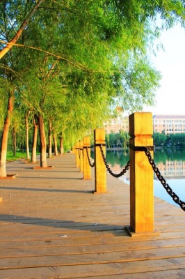 渤海大学