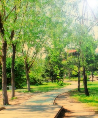 渤海大学